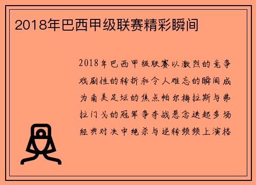 2018年巴西甲级联赛精彩瞬间