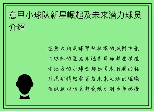 意甲小球队新星崛起及未来潜力球员介绍